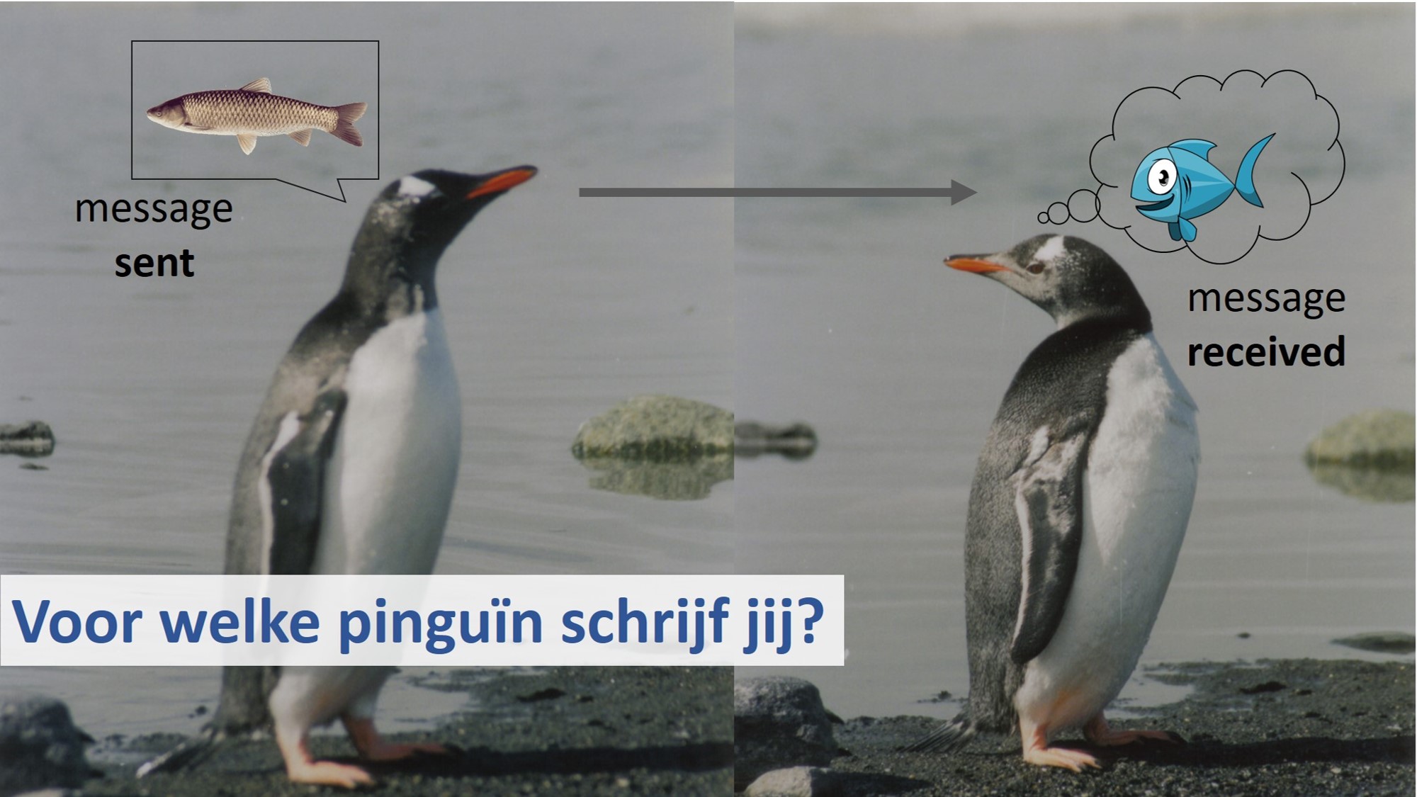 Bij de foto: 2013, Antarctica. Communicatie is niet vanzelfsprekend. Deze twee grappige beesten bespreken hun lunch