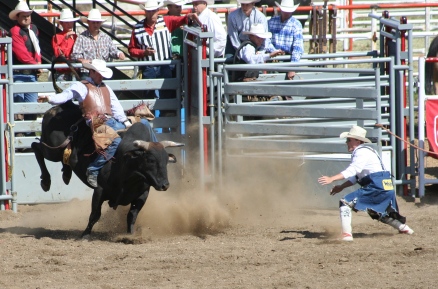 Rodeo tijdens de jaarlijkse fair van Dawson Creek (Britisch Columbia, Canada)