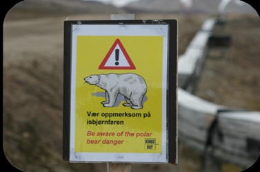 Ny Alesund (Spitsbergen)